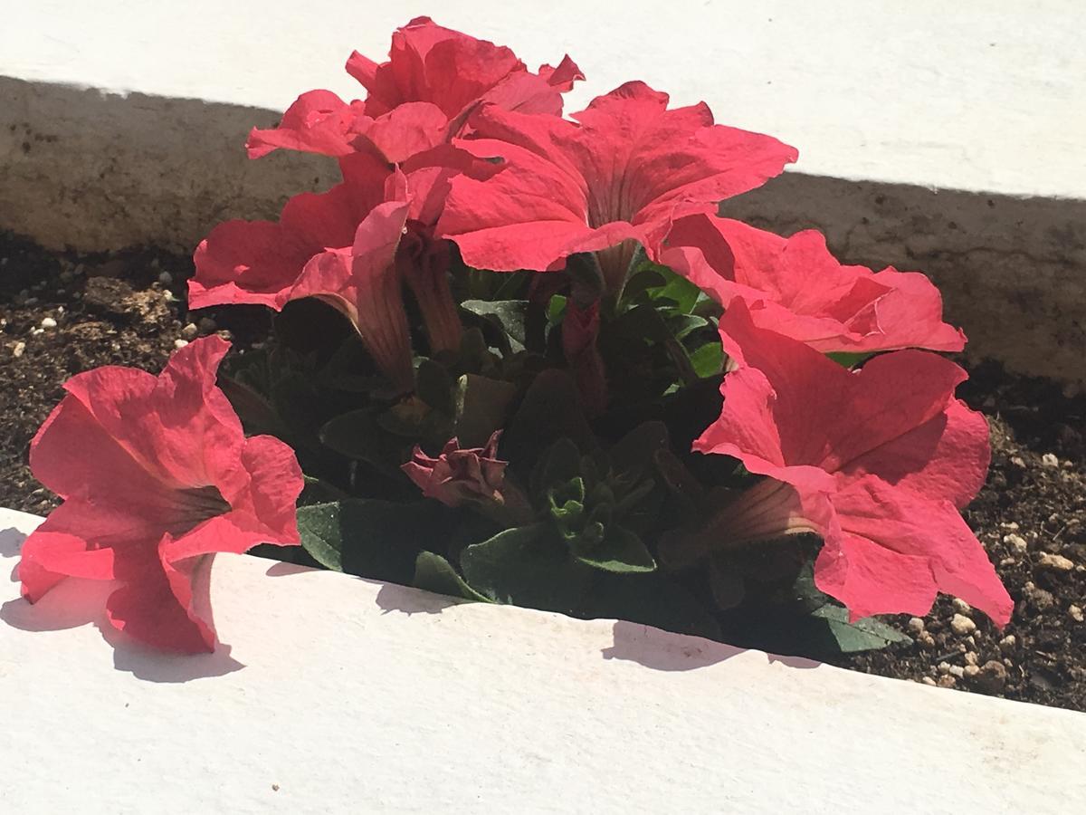 Hotel Esperia Loutra Ipatis Dış mekan fotoğraf
